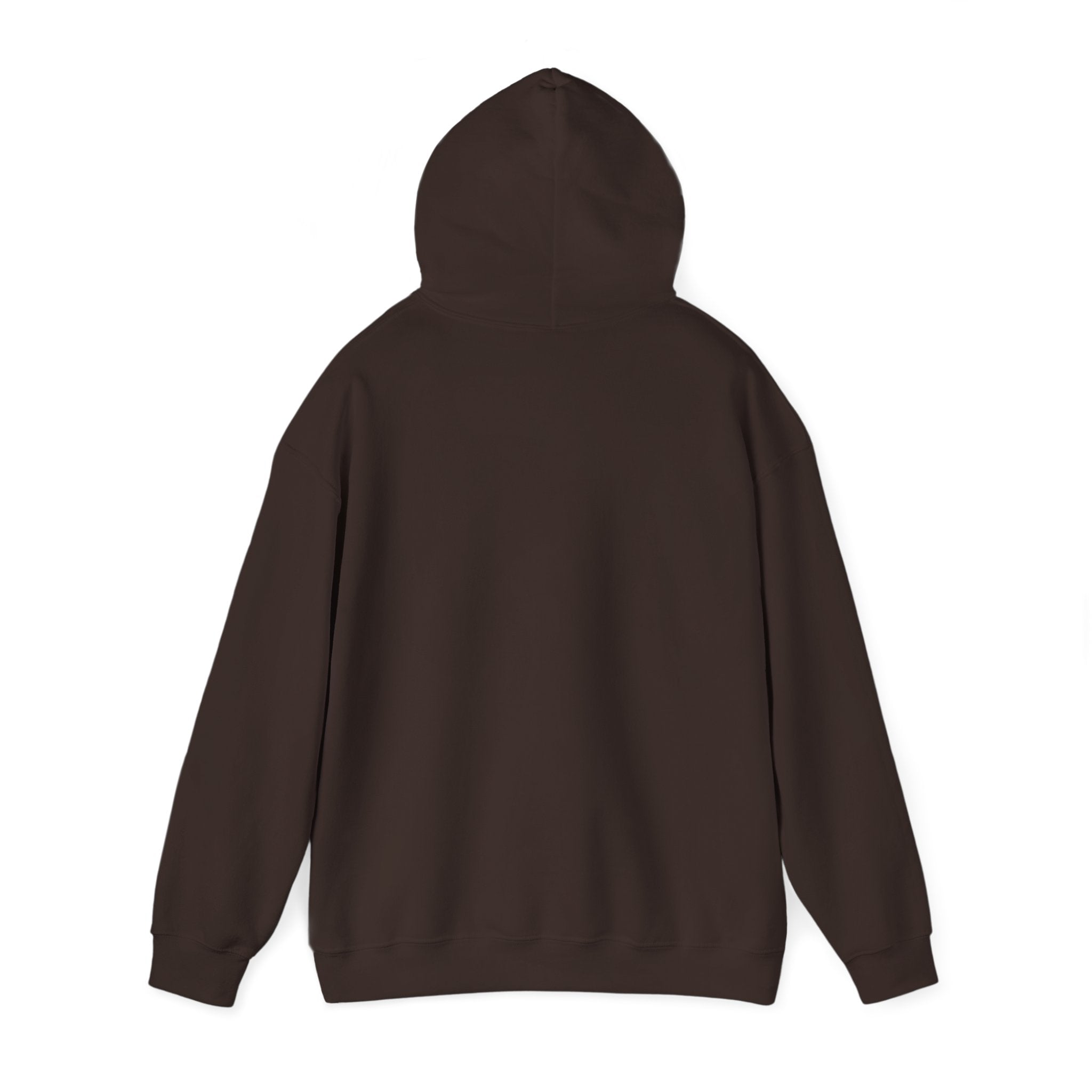 Desert Sunset Hoodie — Cactus Southwestern Landscape Pullover