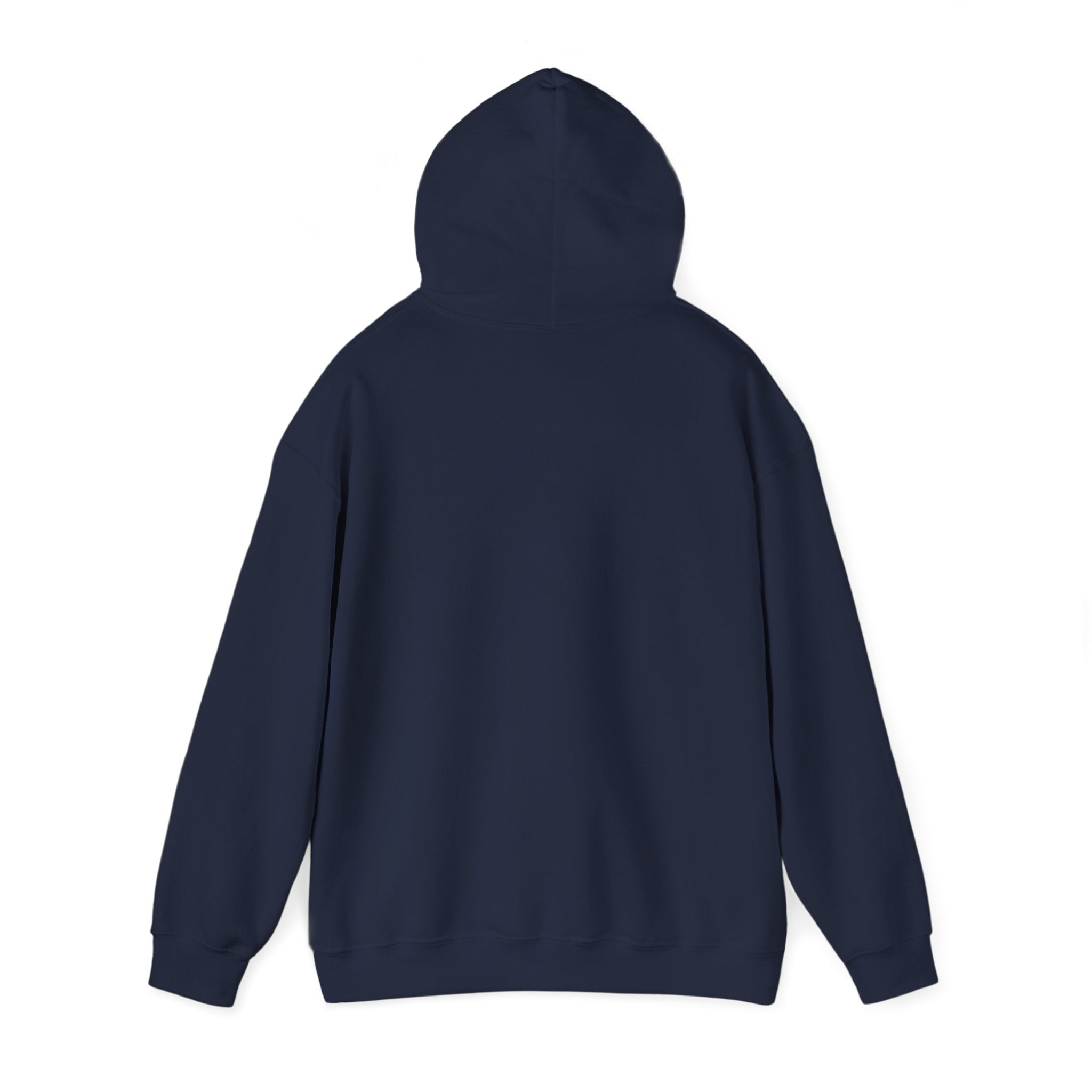 Desert Sunset Hoodie — Cactus Southwestern Landscape Pullover