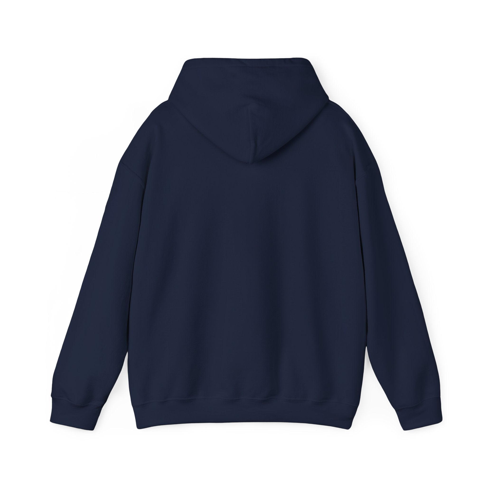 Desert Sunset Hoodie — Cactus Southwestern Landscape Pullover
