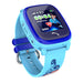 Blue GPS foreign language