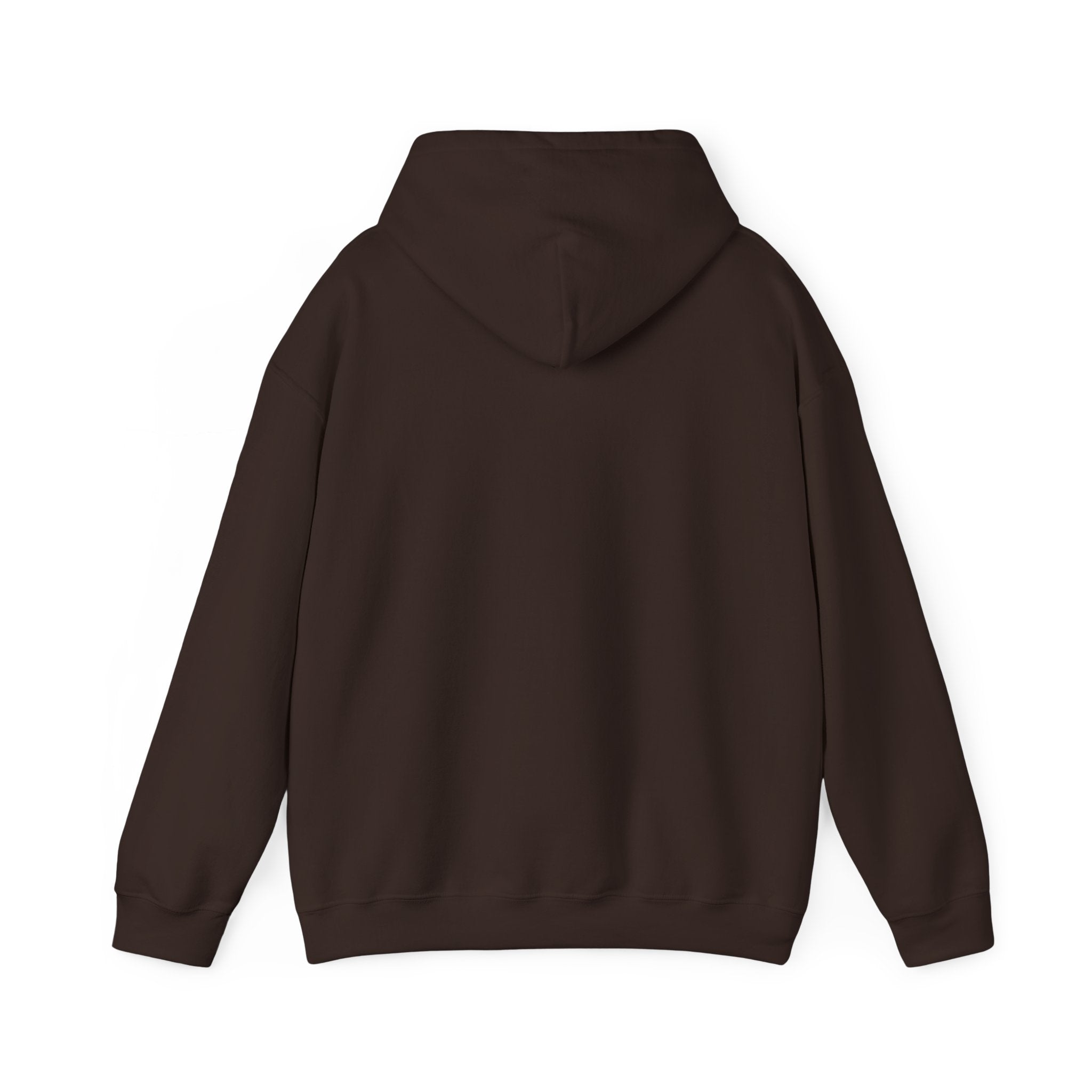 Desert Sunset Hoodie — Cactus Southwestern Landscape Pullover