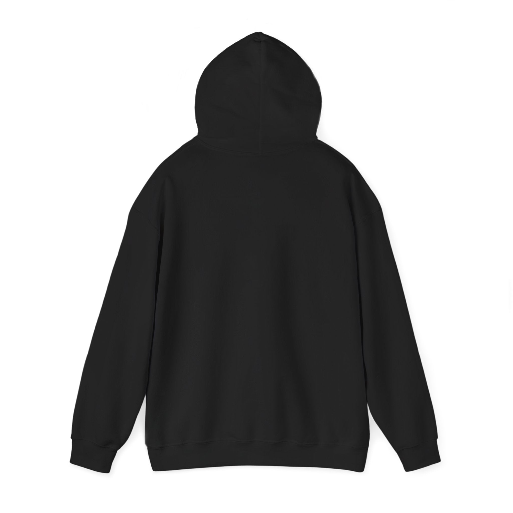 Desert Sunset Hoodie — Cactus Southwestern Landscape Pullover