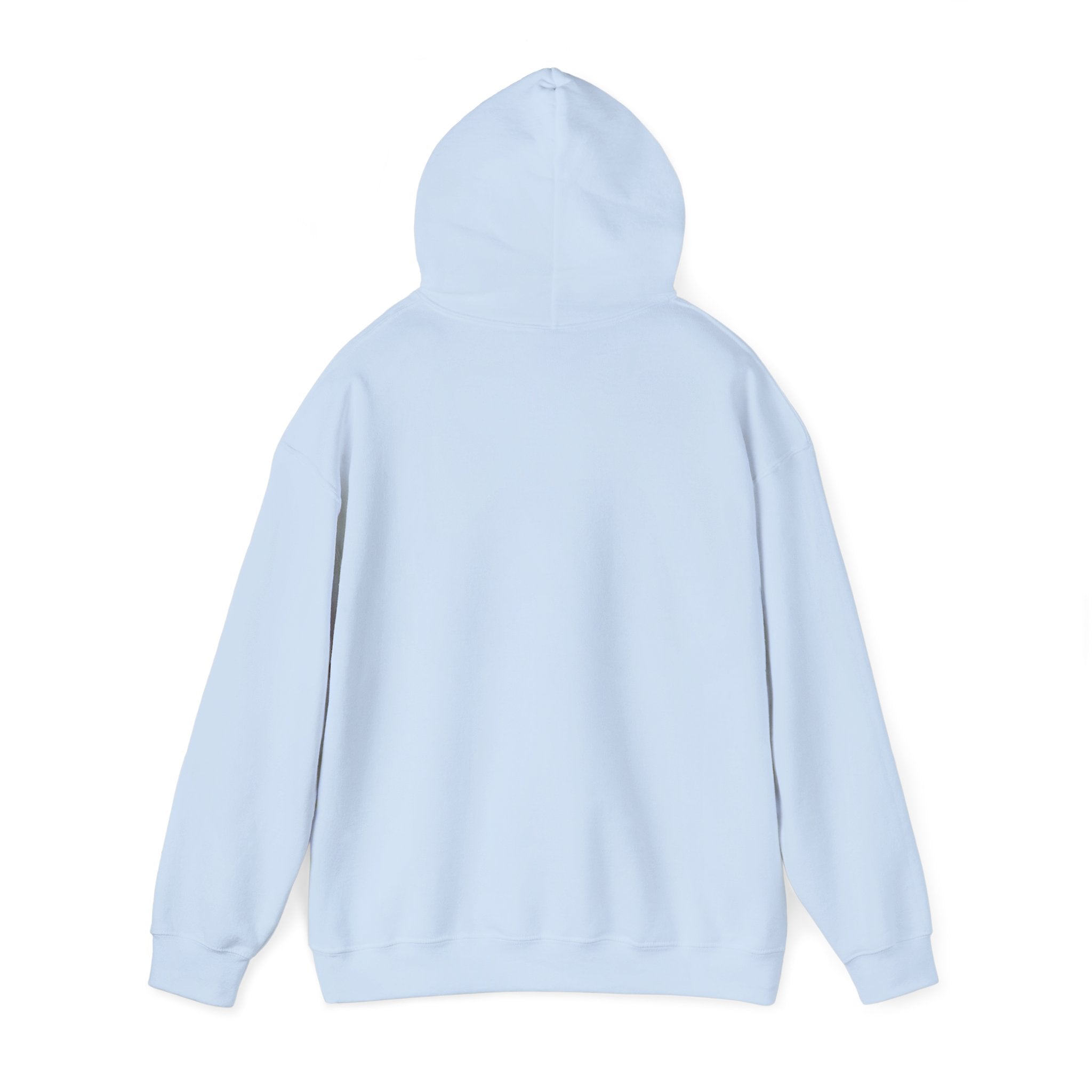 Hoodie — American Flag Wildflower 'Land of Freedom' Graphic